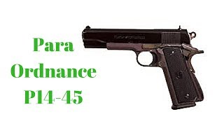 ParaOrdnance P1445 Overview [upl. by Bergstrom383]