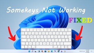 How to Fix Keyboard Problems on ASUS Laptops  ASUS SUPPORT [upl. by Mikol]