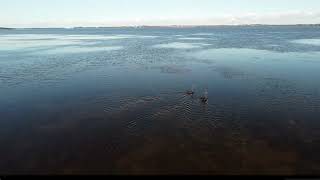 Chittaway Bay  Tuggerah Lake  Central Coast  NSW [upl. by Violetta]