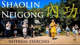 Shaolin Neigong 內功 · Internal exercises [upl. by Wurst]