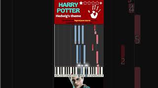 HARRY POTTER Hedwigs theme  TUTORIAL PIANOFORTE FACILE [upl. by Ohcirej]