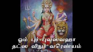 Tamil Song  வசீகரா என் நெஞ்சினிக்க [upl. by Yeldahc]