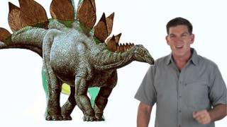 Dinosaur Discoveries Stegosaurus [upl. by Griffiths]