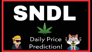 SUNDIAL GROWERS STOCK PRICE PREDICTION Sndl Analysis Update 2021 [upl. by Pamelina195]