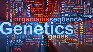 GeneticsLecture 5  Salvage pathway of Nucleotide [upl. by Melina]