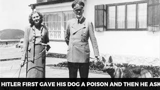 Facts About Hitlers Relationship With His Wife Eva Braun [upl. by Sender]