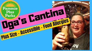 Ogas Cantina Review  Plus Size  Wheelchair  ECV  Stroller  Food Allergy  Autism  Epilepsy [upl. by Nordin]