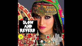 Faridoon Angar Khanum Jani Geney  Slow and reverb  pashto song [upl. by Hasina703]