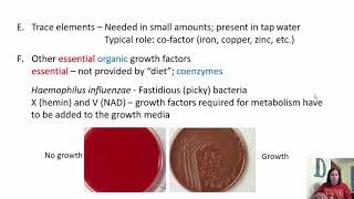 Chapter 6 Microbial Growth [upl. by Atinele656]