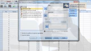 Tablas de contingencia con SPSS [upl. by Binah713]