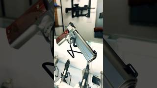 Kimber Stainless Target LS in 10mm usa asmr ww2 [upl. by Deeann311]