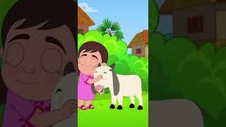 Bolchi Ore Chagol Chana বলচি ওরে ছাগোল ছানা ytshorts banglacartoon kidssong poem trending [upl. by Nert]