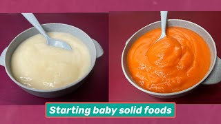 4 Month Baby Foods  Starting Homemade Stage 1 Baby Foods Baby Solid Recipes  Faith Vibes [upl. by Liatris]