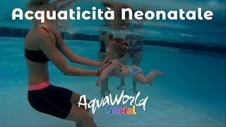 Acquaticità Neonatale [upl. by Yejus668]