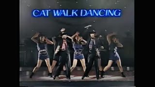 Wink  メドレー  咲き誇れ愛しさよ CatWalk Dancing Sexy Music 摩天楼ミュージアム [upl. by Chev]