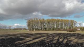 Guntersblum  Landschaft im Herbst [upl. by Jacinto]