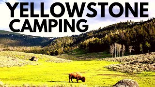 Yellowstone’s Best Campsites  10 Things You Need to Know [upl. by Eiramanel43]