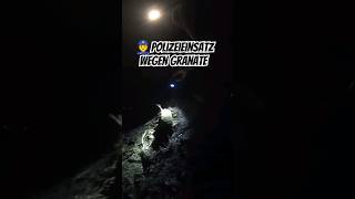 👮 Polizeieinsatz wegen Granate polizeieinsatz metalldetektor ww2 [upl. by Henghold9]