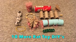 10 Cool DIY Rat Toys [upl. by Ateekal663]