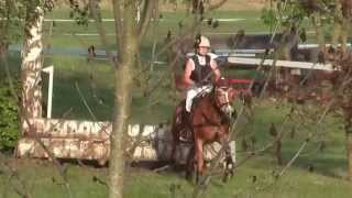 Die Haflinger springen in Gunzenhausen [upl. by Wattenberg]