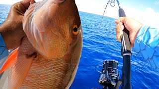 Catching Mutton snapper on the Islamorada Humps Catch N Cook [upl. by Nydnarb]