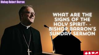 What Are the Signs of the Holy Spirit Bishop Barrons Sunday Sermon [upl. by Hellene]