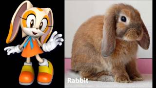 The Sonic Characters Real Life Comparisons [upl. by Garris]