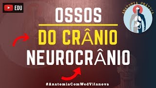 Ossos Do Crânio NEUROCRÂNIO❗ Quais são❗❓DESCUBRA AQUI❗ Anatomia Prática [upl. by Poul5]