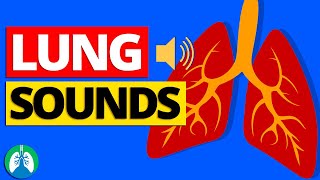 Lung sounds for beginners Vesicular and Bronchial breath sounds lungsounds [upl. by Tanner]