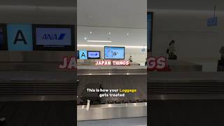 Japan Airport vs Australia Airport ✈️ funfact funnyshorts [upl. by Tierell]