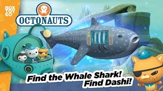 Find the Whale Shark with the Octonauts [upl. by Salokcin899]