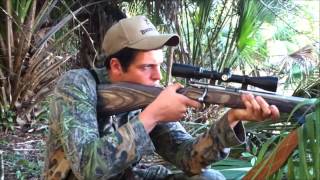 Florida Hog Hunt Savage 17 Hmr [upl. by Eenerb125]