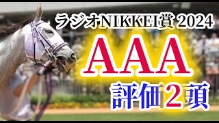 【ラジオNIKKEI賞2024】3歳限定戦で唯一のハンデ重賞！逃げ馬多数で超ハイペース必死の大混戦！？ラジオNIKKEI賞の出走予定馬を徹底考察！ [upl. by Zanze544]