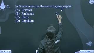 In Brassicaceae the flowers are zygomorphic [upl. by Enybor]