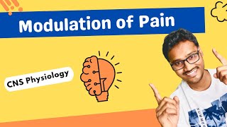 Modulation of pain  CNS physiology [upl. by Hong308]