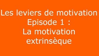 Leviers de motivation 1  La motivation extrinsèque [upl. by Adella]