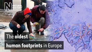 The oldest human footprints in Europe  Natural History Museum [upl. by Annas665]