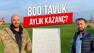 800 Tavuk  Aylık Kazanç [upl. by Akedijn709]