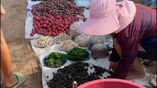 ThaiLao market ตลาดนัดไทยลาว ของป่า จนครพนม [upl. by Aliekat]