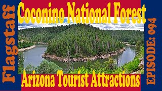 Coconino National Forest near Flagstaff city Arizona USA [upl. by Averi]