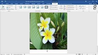 How to make an image fill the entire page in Word Using full size of page for an image [upl. by Tnert]