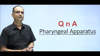 Questions based on pharyngeal arch defects  Embryology [upl. by Amoeji782]