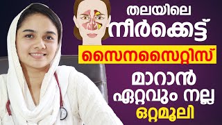 തലയിലെ നീർക്കെട്ട് പൂർണ്ണമായും മാറാൻ  thalayile kafa kettu maran  Sinusitis malayalam [upl. by Relyhcs]