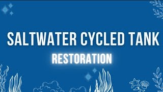 SALTWATER CYCLED TANK RESTORATION [upl. by Annawoj]