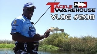 Froggin at the Cal Delta with Jared Lintner amp Ish Monroe  Part 3  Tackle Warehouse VLOG 208 [upl. by Suirrad]