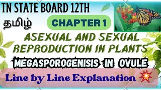 12th STD Asexual and Sexual Reproduction In Plantsதமிழ்Megasporogenisis TN scert [upl. by Billi]