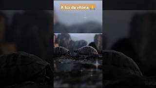 Falcãodomorro es🎼 a luz da vitória 🙏 jesusmultivacional superaçãodinâmicajesusdeusvendas [upl. by Whitford]