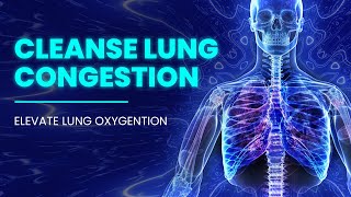 Cleanse Lung Congestion  Expel Lung Mucus  Optimize Breathing Pattern  Elevate Lung Oxygenation [upl. by Nahaj]