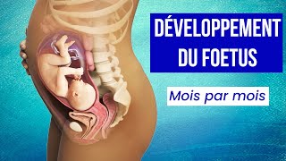 LA GROSSESSE  Le Développement du Foetus Mois par Mois [upl. by Richia618]