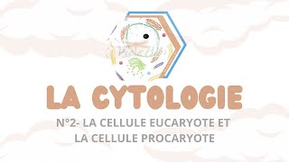 LA CYTOLOGIE  N°2 Les cellules procaryotes et eucaryotes [upl. by Casimir]